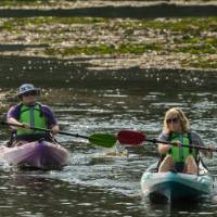 2 people in single kayaks paddling on a river